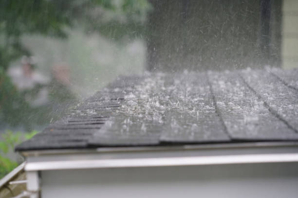 Reliable Buena Vista, GA Roofing Service Solutions